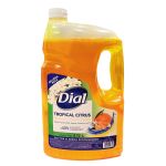 Dial Rellena Pack Para Manos Tropical Citrus (3.72 Lt)