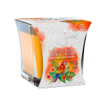 Velas Aromizantes White Swan Tropical Blend 10 OZ