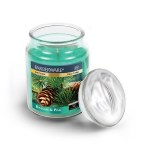 Velas Aromaticas Farberware Tealight Candle Balsam and Pine 18oz  $6.50